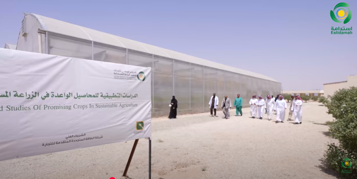 ورشة عمل حول: أفضل الممارسات والتقنيات الزراعية لإنتاج وتوطين الكينوا، وبنجر السكر، والقرطم